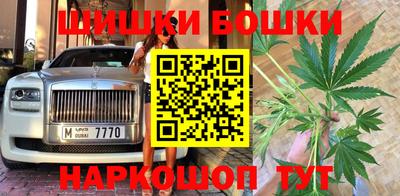 jwh Нальчик