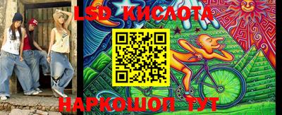 ECSTASY Новодвинск