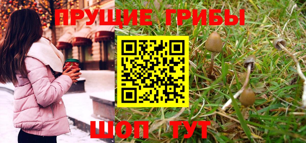 Псилоцибиновые грибы Cubensis Троицк
