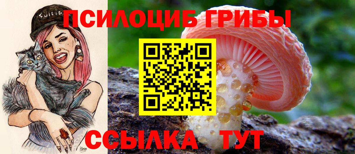 Троицк  цена   Вход с VPN  Псилоцибиновые грибы Cubensis 